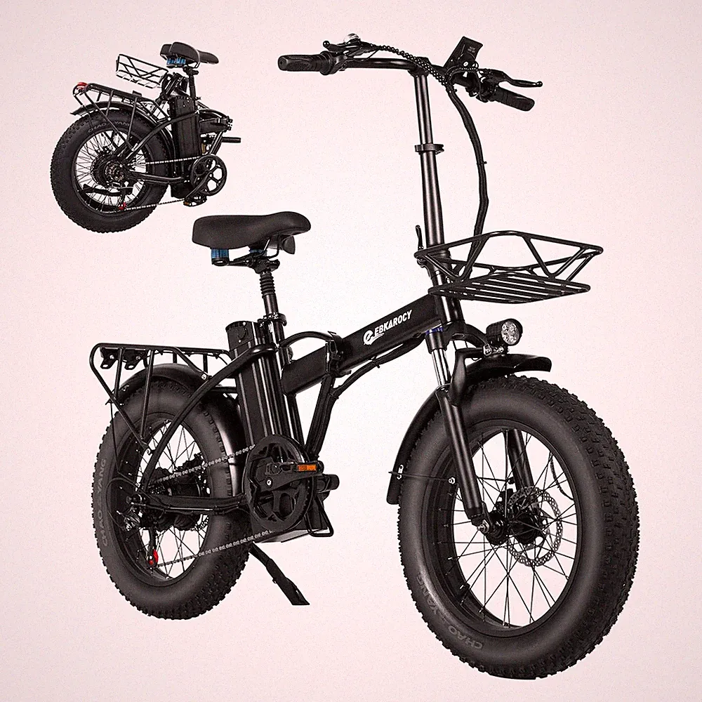 7 Speeds Electric Bike